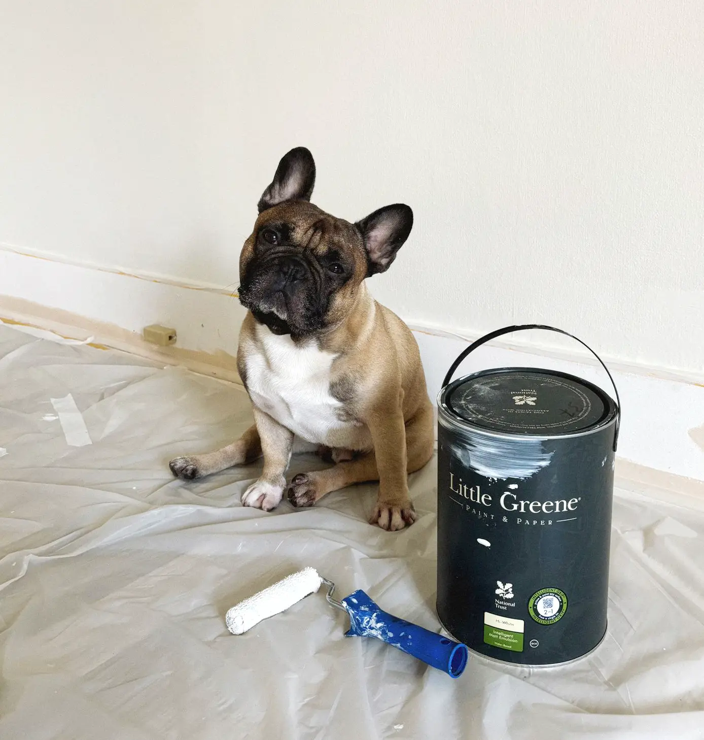 Expertise et écoute au service de votre confort quotidien